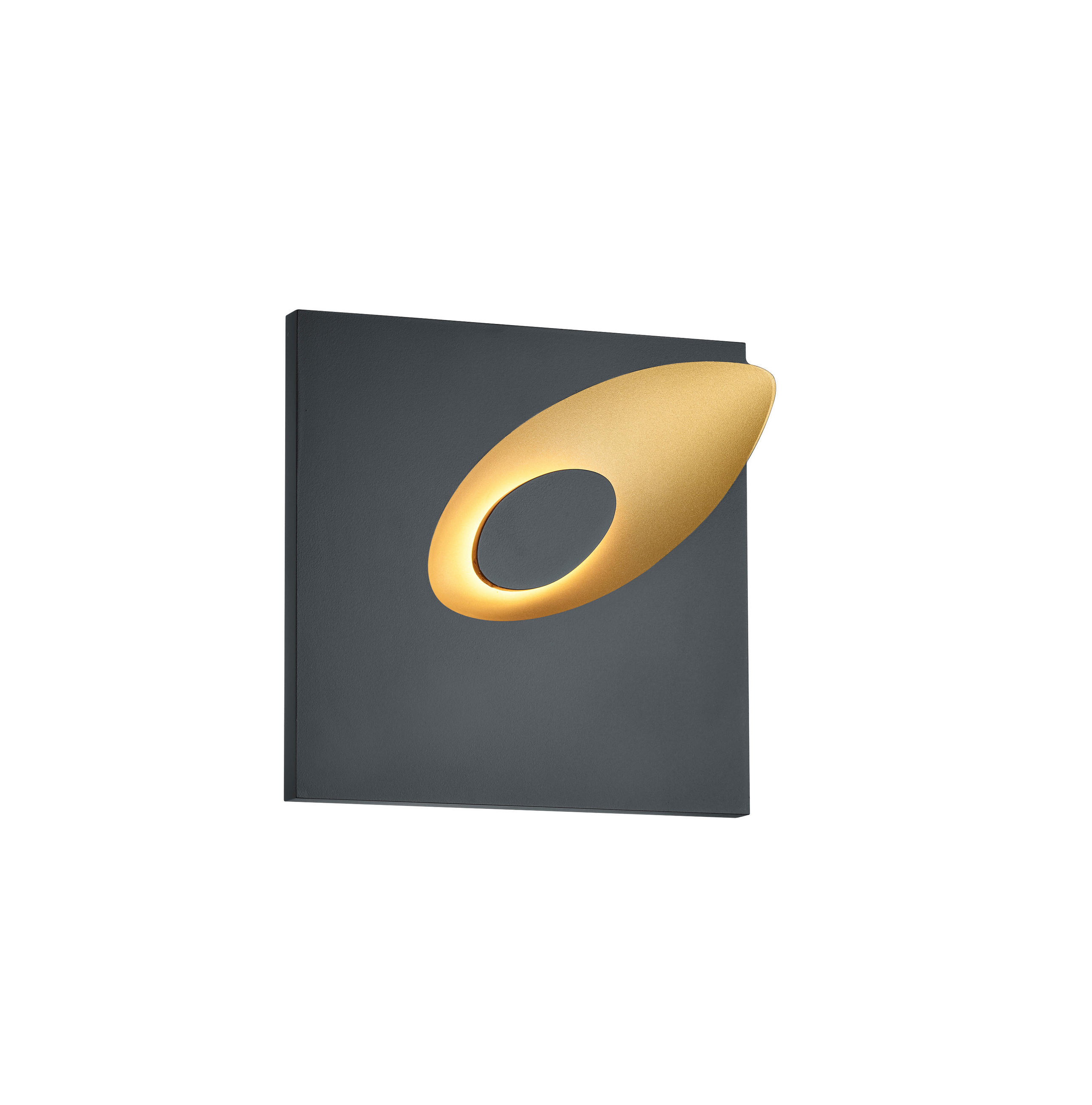LED-WANDLEUCHTE Tail   - Goldfarben/Schwarz, Design, Metall (21/20/5,5cm) - Helestra