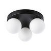 BADEZIMMER-DECKENLEUCHTE Gove   - Schwarz/Weiß, Basics, Glas/Metall (22,0/10,0cm) - Paulmann
