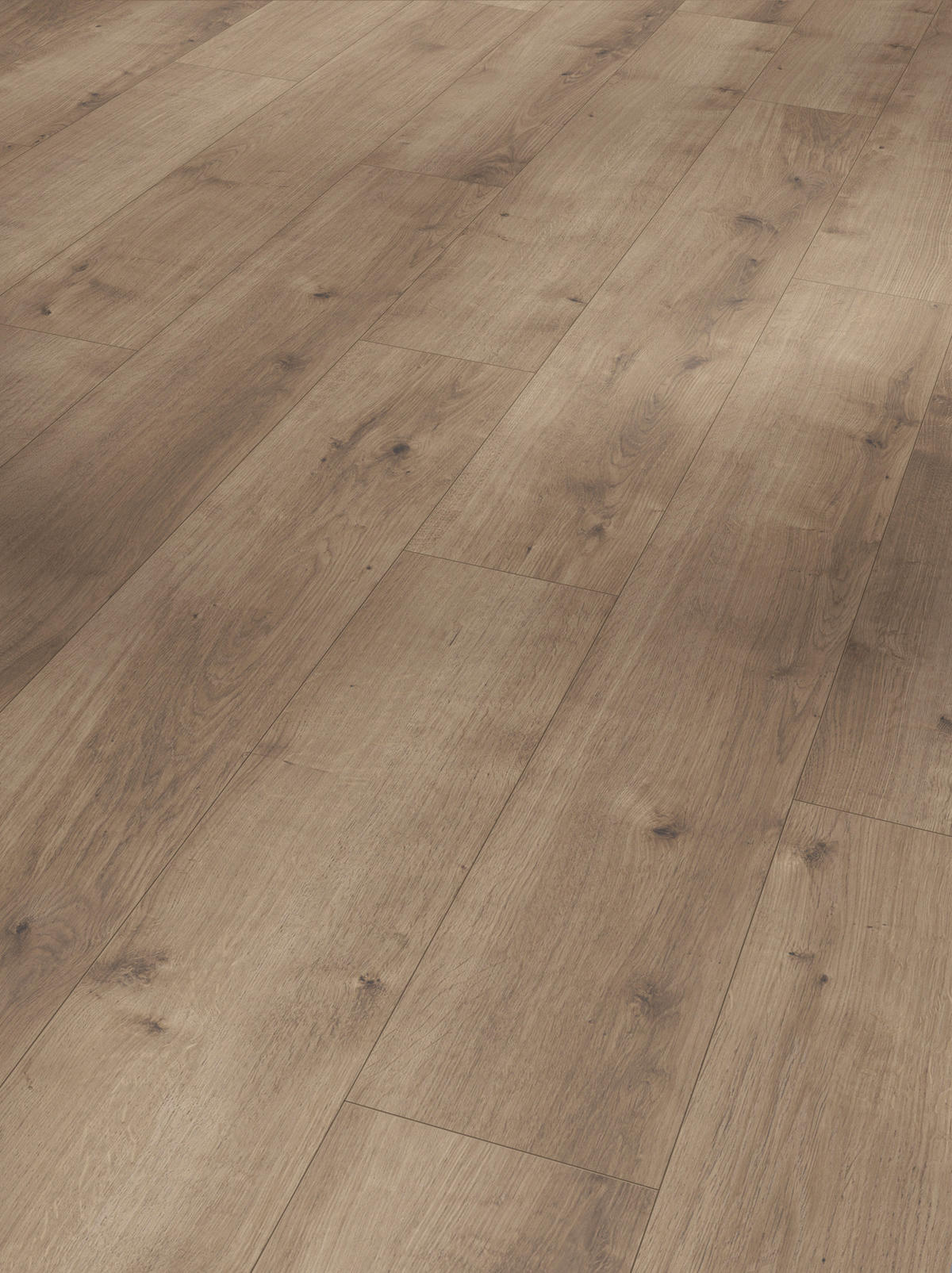 DESIGNBODEN MOULAR ONE 1730768  per  m² - Eichefarben/Dunkelgrau, Basics, Holz/Kunststoff (128,5/19,4/0,8cm) - Parador
