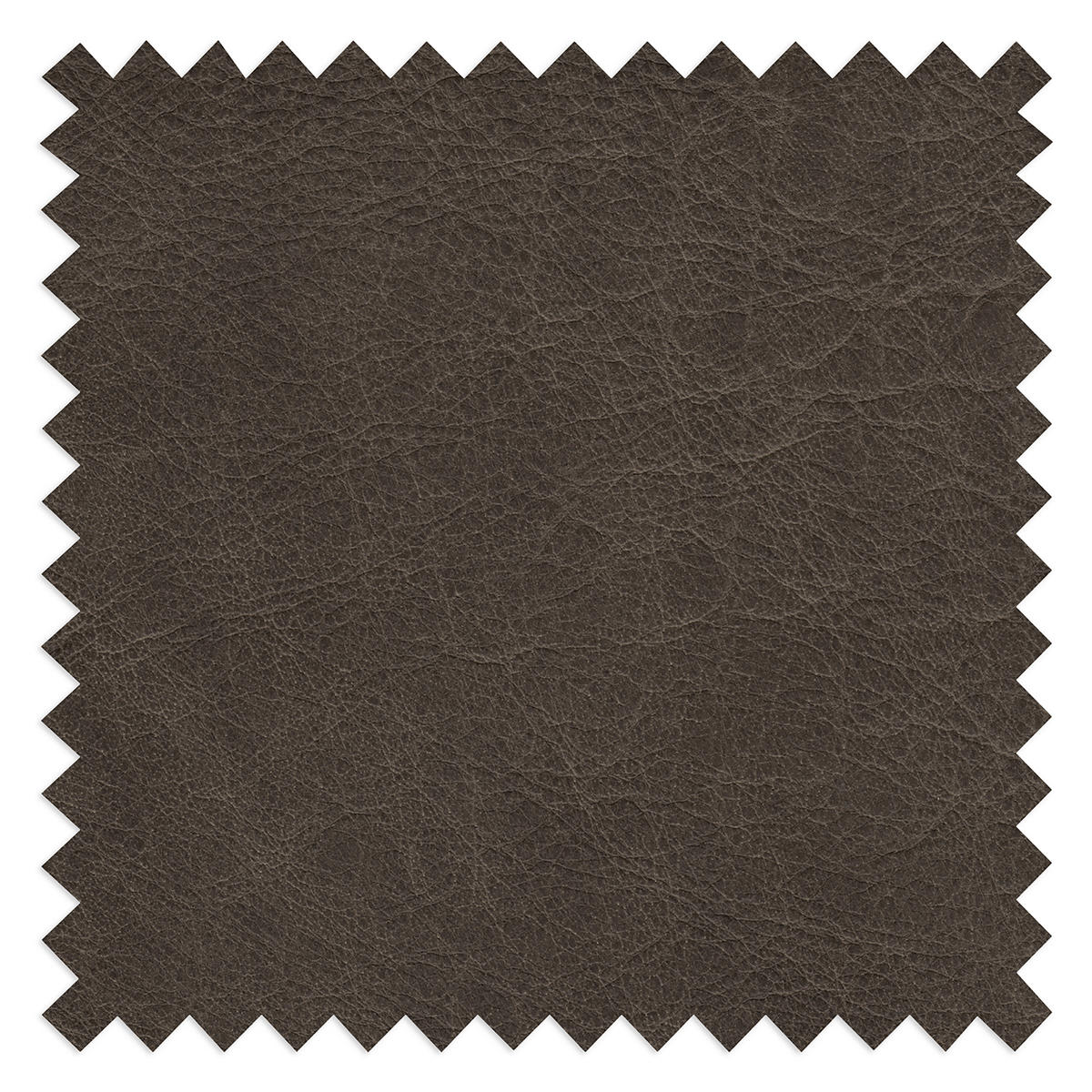 SESSEL in Echtleder Fango  - Fango/Schwarz, Design, Leder/Metall (67/87/74cm) - Livetastic