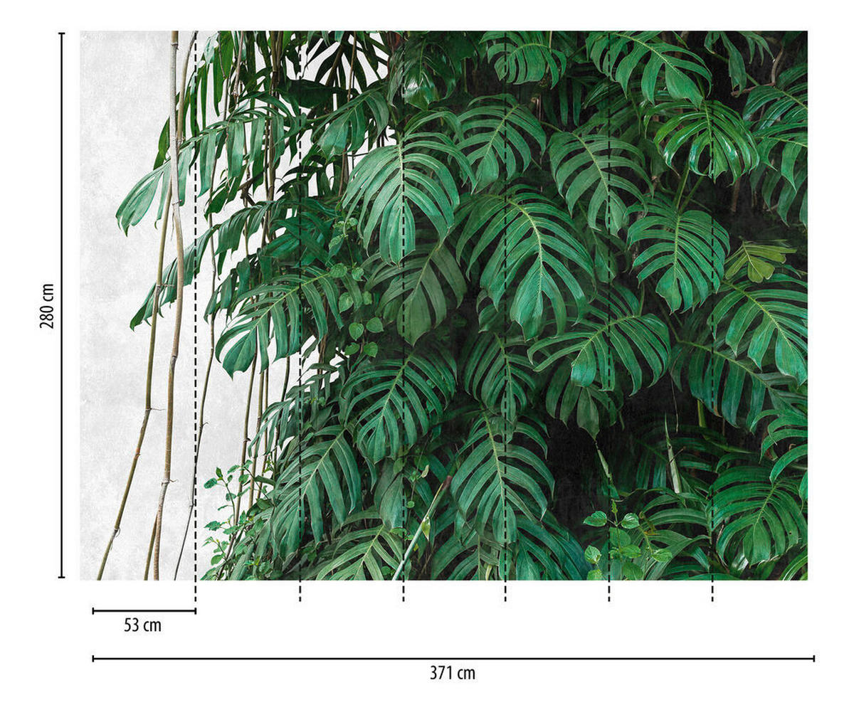 FOTOTAPETA - siva/zelena, Trendi, papir (371*280cm)