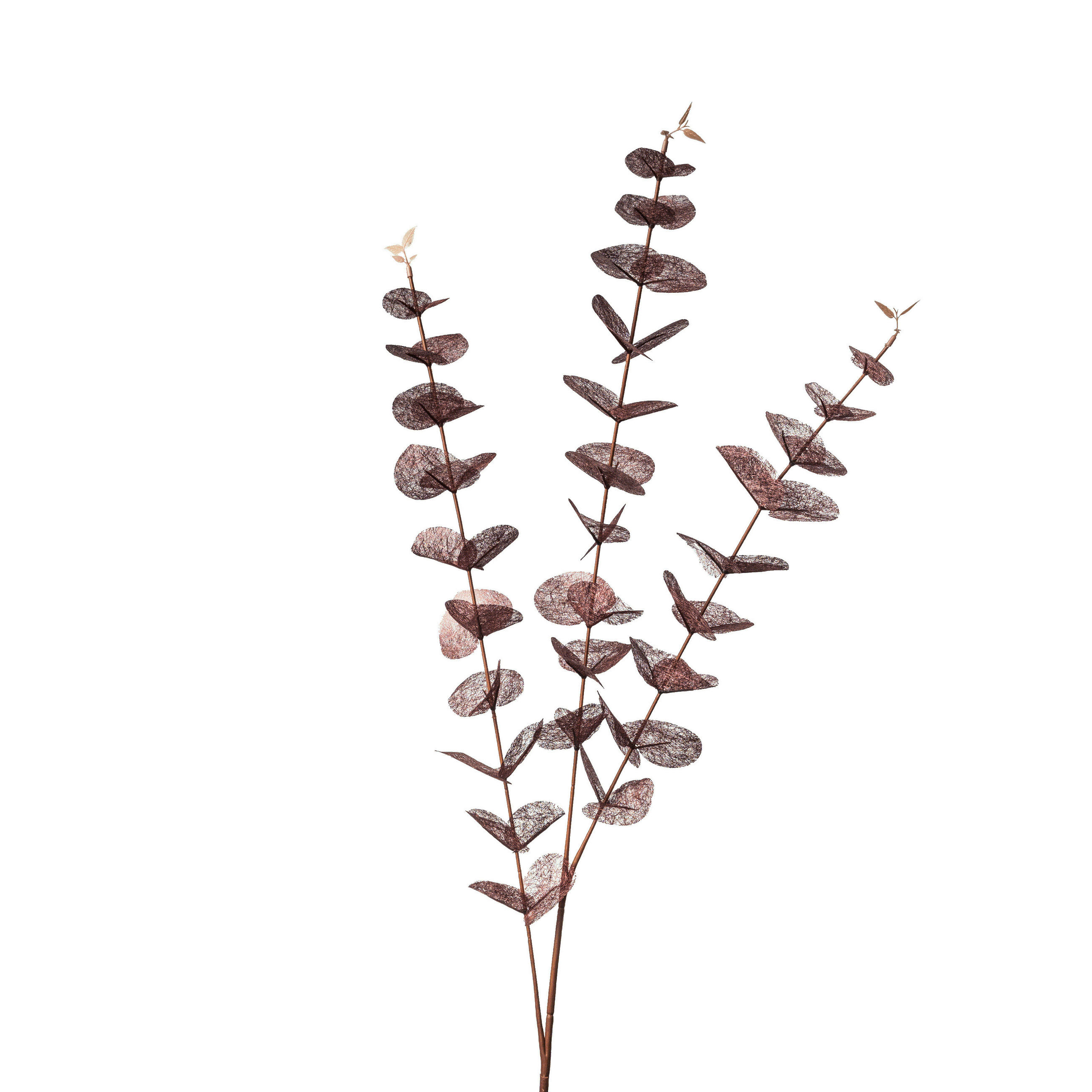 DEKOR GALLY - ibolya, Natur (ca. 100 cmcm)