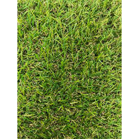 RASENTEPPICH - Grün, KONVENTIONELL, Kunststoff (133/300cm) - Ambia Garden