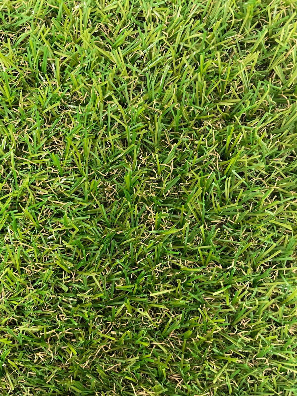 RASENTEPPICH - Grün, KONVENTIONELL, Kunststoff (133/300cm) - Ambia Garden