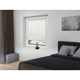 ROLLO 100/160 cm  - Weiß, Design, Kunststoff (100/160cm) - Boxxx