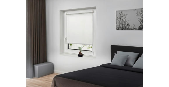 ROLLO 100/160 cm  - Weiß, Design, Kunststoff (100/160cm) - Boxxx