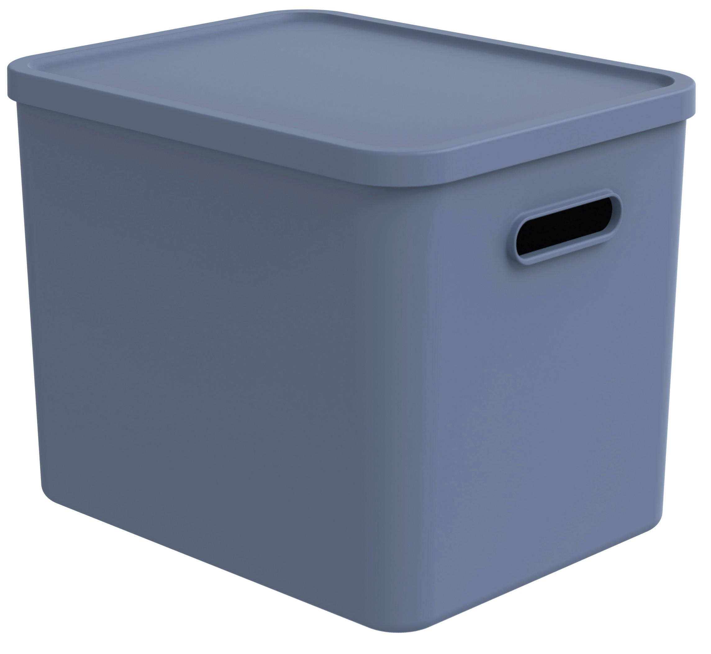 AUFBEWAHRUNGSBOX Albula  - Hellblau, KONVENTIONELL, Kunststoff (37/29/29,5cm) - Rotho