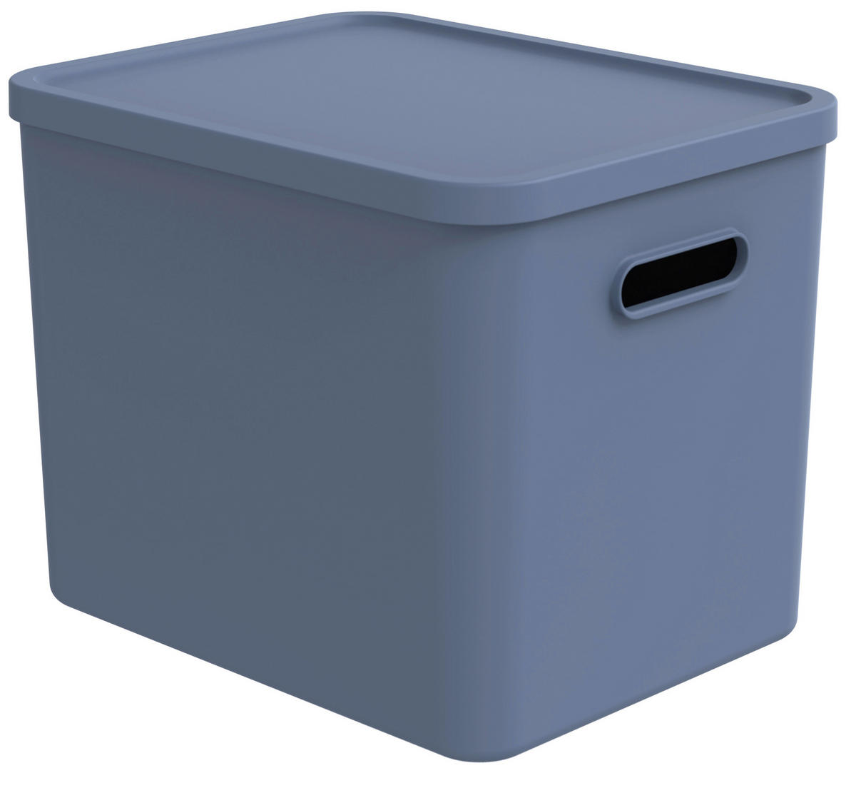 AUFBEWAHRUNGSBOX Albula  - Hellblau, KONVENTIONELL, Kunststoff (37/29/29,5cm) - Rotho