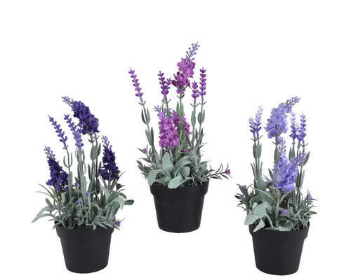 FLOARE DECORATIVĂ - Basics (12/12/25cm)