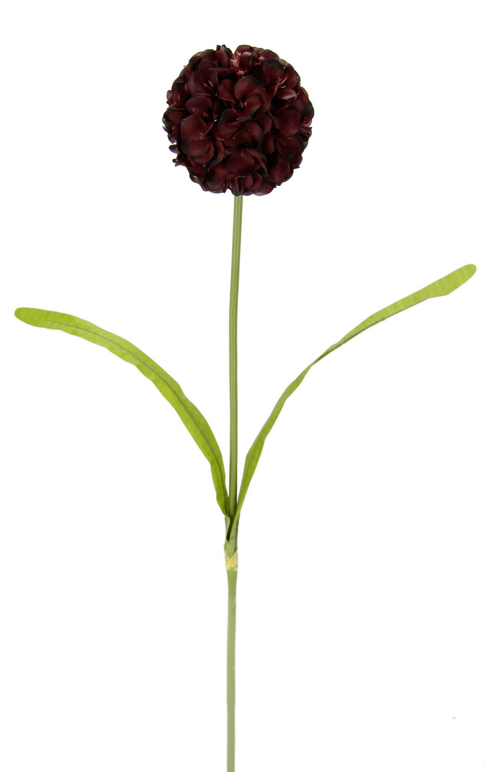 ALLIUM  - Weinrot, Basics, Textil (11/67cm)