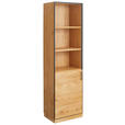 AKTENSCHRANK 55/197/40 cm  - Eichefarben/Anthrazit, Natur, Holz/Holzwerkstoff (55/197/40cm) - Linea Natura