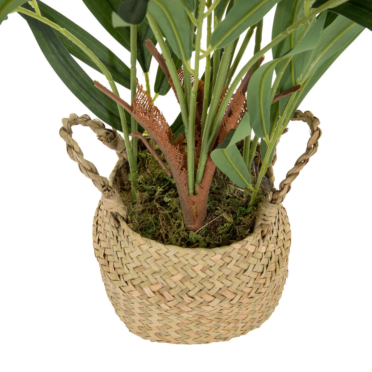 KUNSTPFLANZE Palme  - Hellbraun/Grün, Basics, Kunststoff/Textil (50/65/50cm) - MID.YOU