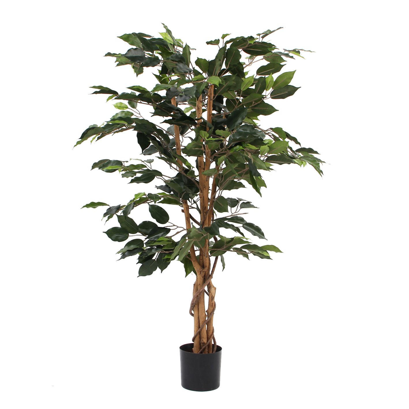 FIKUS BENDŽAMIN - zelena, Osnovno, plastika (65/110cm)