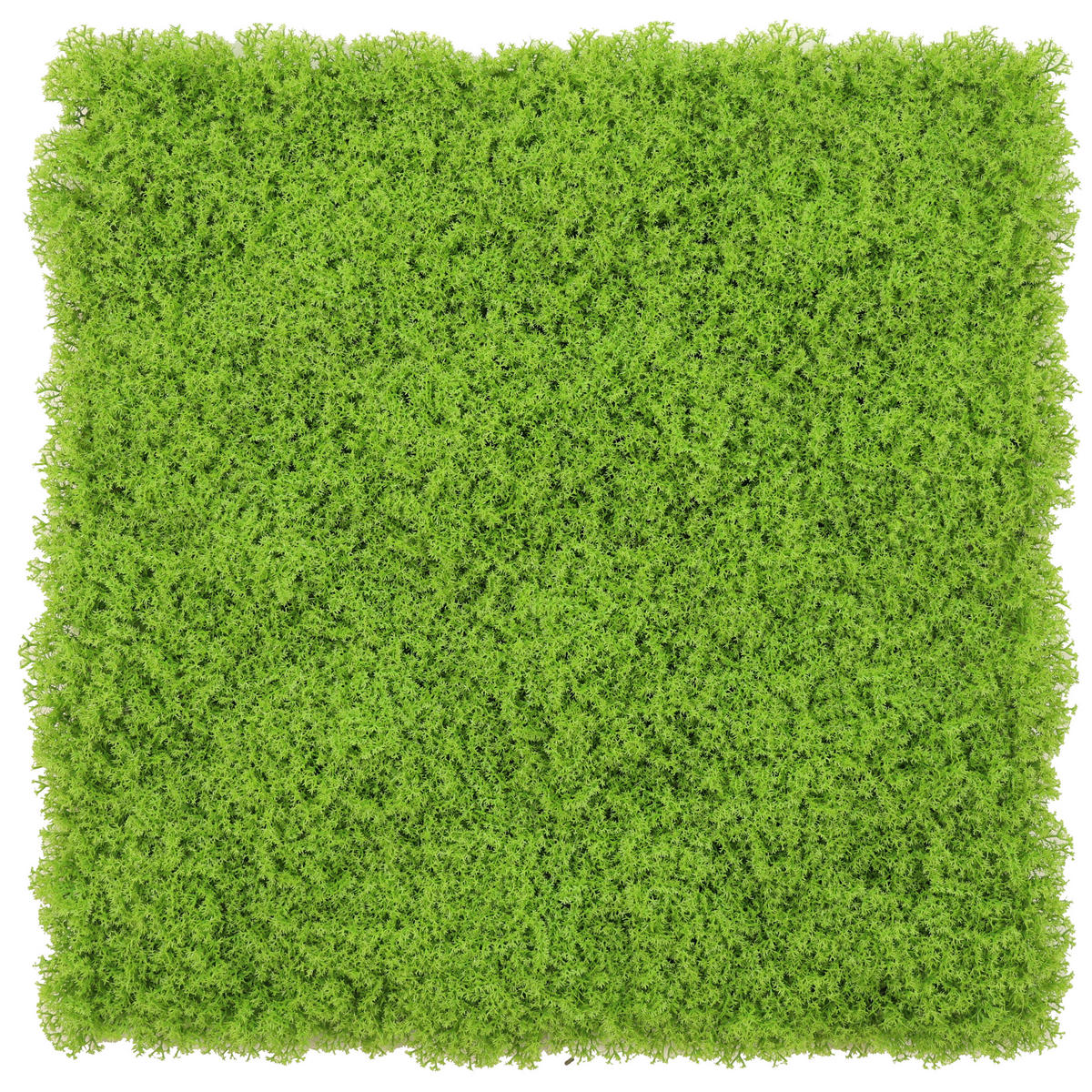 DEKOGRAS  - Grün, Basics, Kunststoff (50/50cm) - Ambia Home