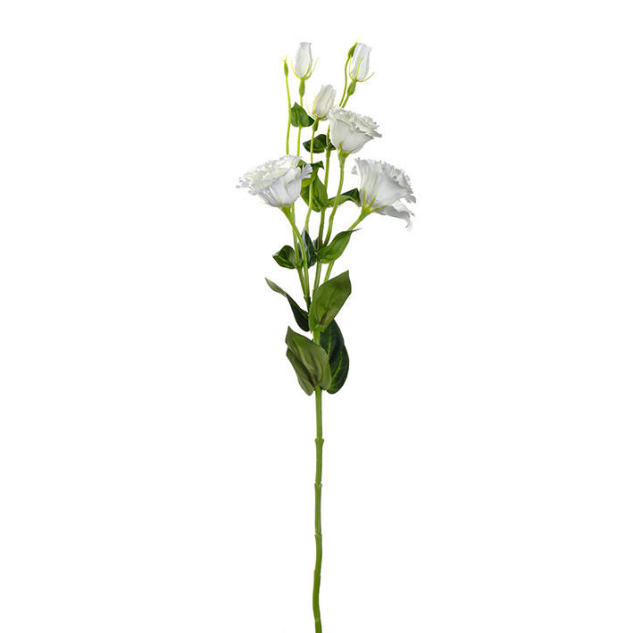 DEKOBLUME - Weiß/Grün, Basics, Kunststoff/Metall (5,00/57,00/5,00cm)