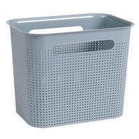 BOX     - Pastellblau, KONVENTIONELL, Kunststoff (18/21,1/26,2cm) - Rotho