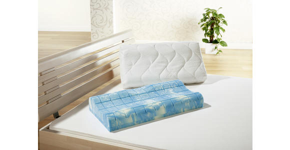 NACKENKISSEN 40/80 cm - Weiß, Basics, Textil (40/80cm) - Sleeptex