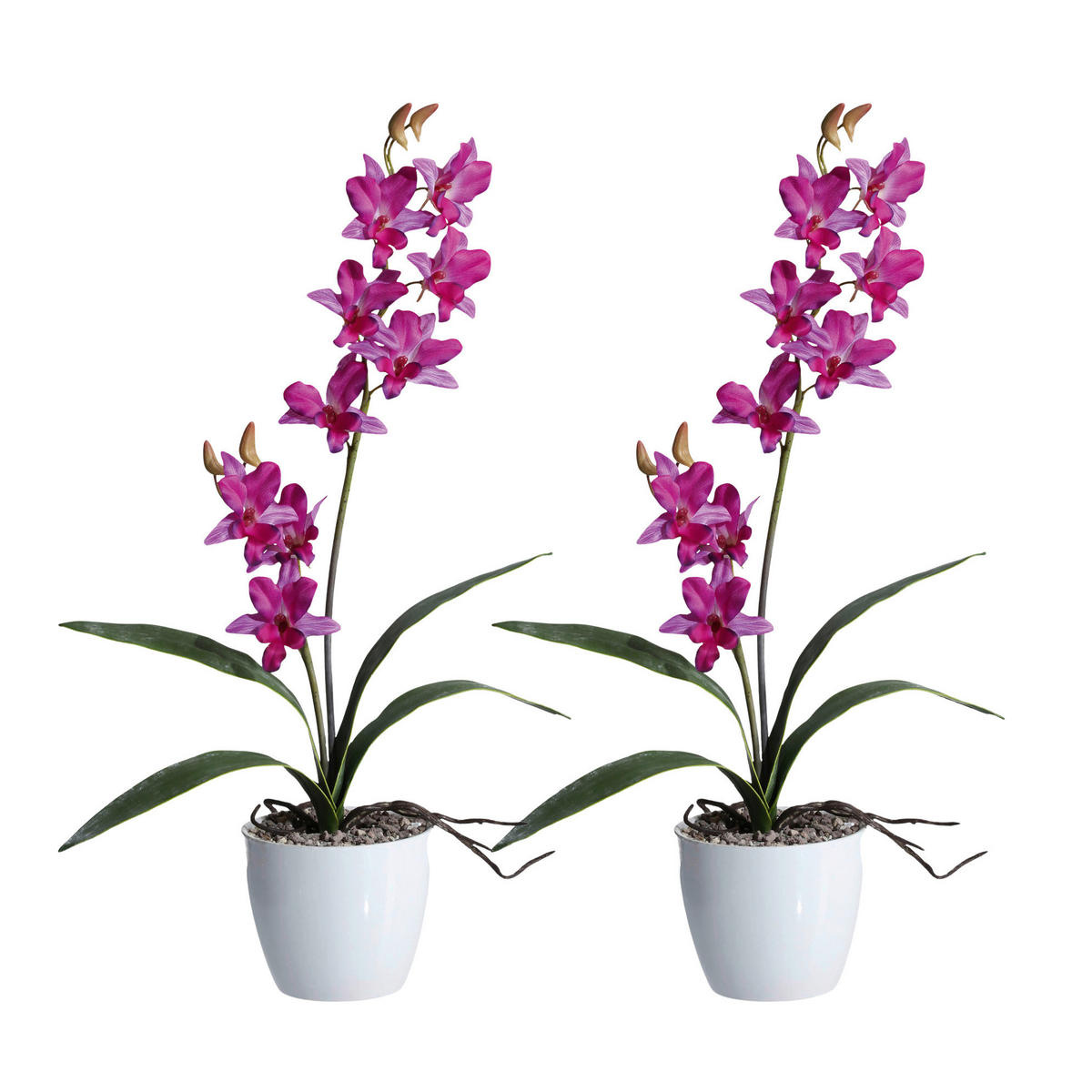 KUNSTPFLANZE Orchidee 60 cm  - Lila/Weiß, Design, Keramik/Kunststoff (60cm) - P & B