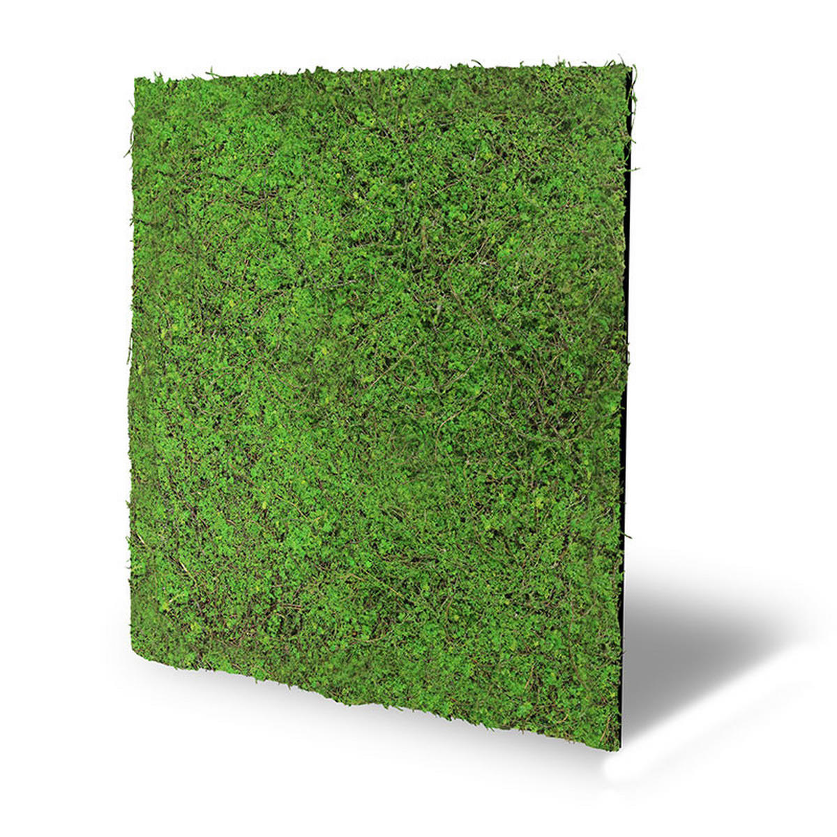 AKUSTIKPANEEL Modular Wall System Design Flora 52/52/2 cm  - Hellgrün, MODERN, Kunststoff (52/52/2cm) - Jangal