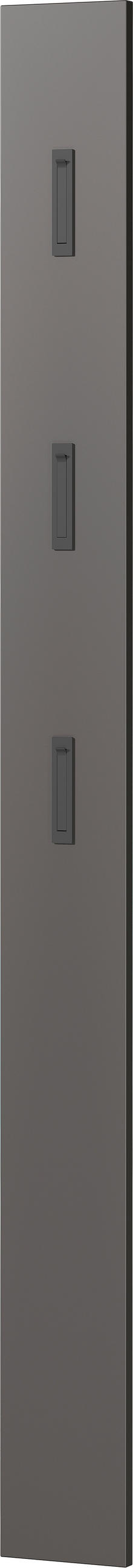 GARDEROBE 3-teilig  in 100/200/29 cm  - Graphitfarben, Design, Glas/Holzwerkstoff (100/200/29cm) - MID.YOU