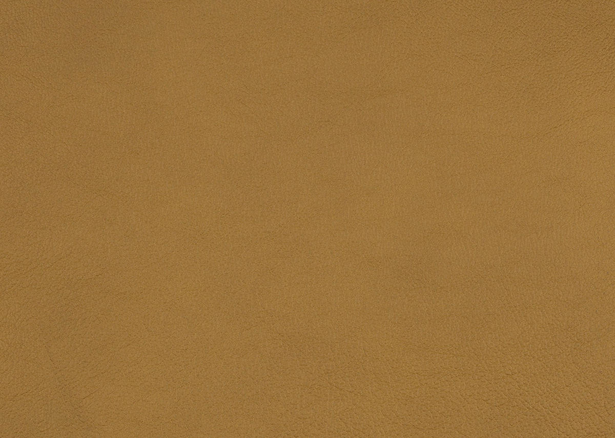 3-SITZER-SOFA in Leder Currygelb  - Currygelb/Schwarz, Design, Leder/Metall (222/86/104cm) - Dieter Knoll