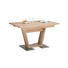 ESSTISCH Kernbuche furniert rechteckig Buchefarben, Edelstahlfarben - Edelstahlfarben/Buchefarben, KONVENTIONELL, Holz (170/90/76cm) - Novel