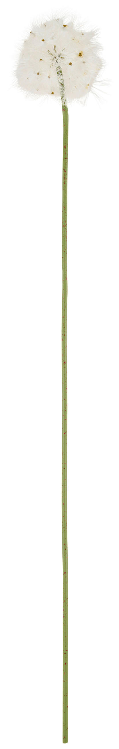 KUNSTBLUME - Weiß/Hellgrün, Basics, Kunststoff (80cm)