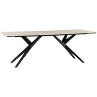 ESSTISCH 220/100/76 cm  Metall, Keramik rechteckig Schwarz, Weiß  - Schwarz/Weiß, Design, Keramik/Metall (220/100/76cm) - Novel