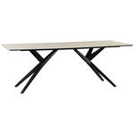 ESSTISCH 220/100/76 cm  Metall, Keramik rechteckig Schwarz, Weiß  - Schwarz/Weiß, Design, Keramik/Metall (220/100/76cm) - Novel