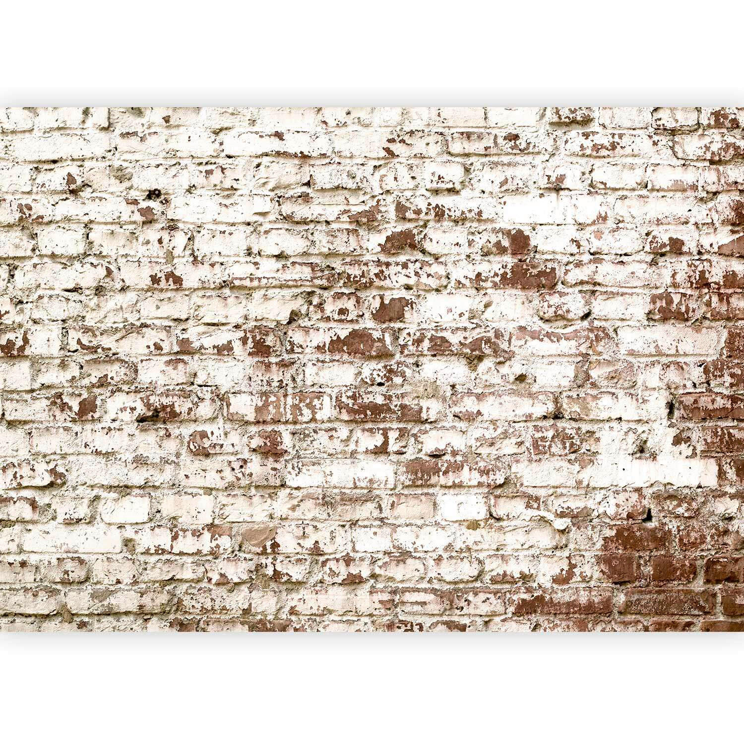 FOTOTAPET 400/280 cm  - beige/brun, Lifestyle, textil (400/280cm) - artgeist