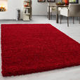 HOCHFLORTEPPICH 240/340 cm Life 1500 Rot  - Rot, KONVENTIONELL, Textil (240/340cm) - Novel