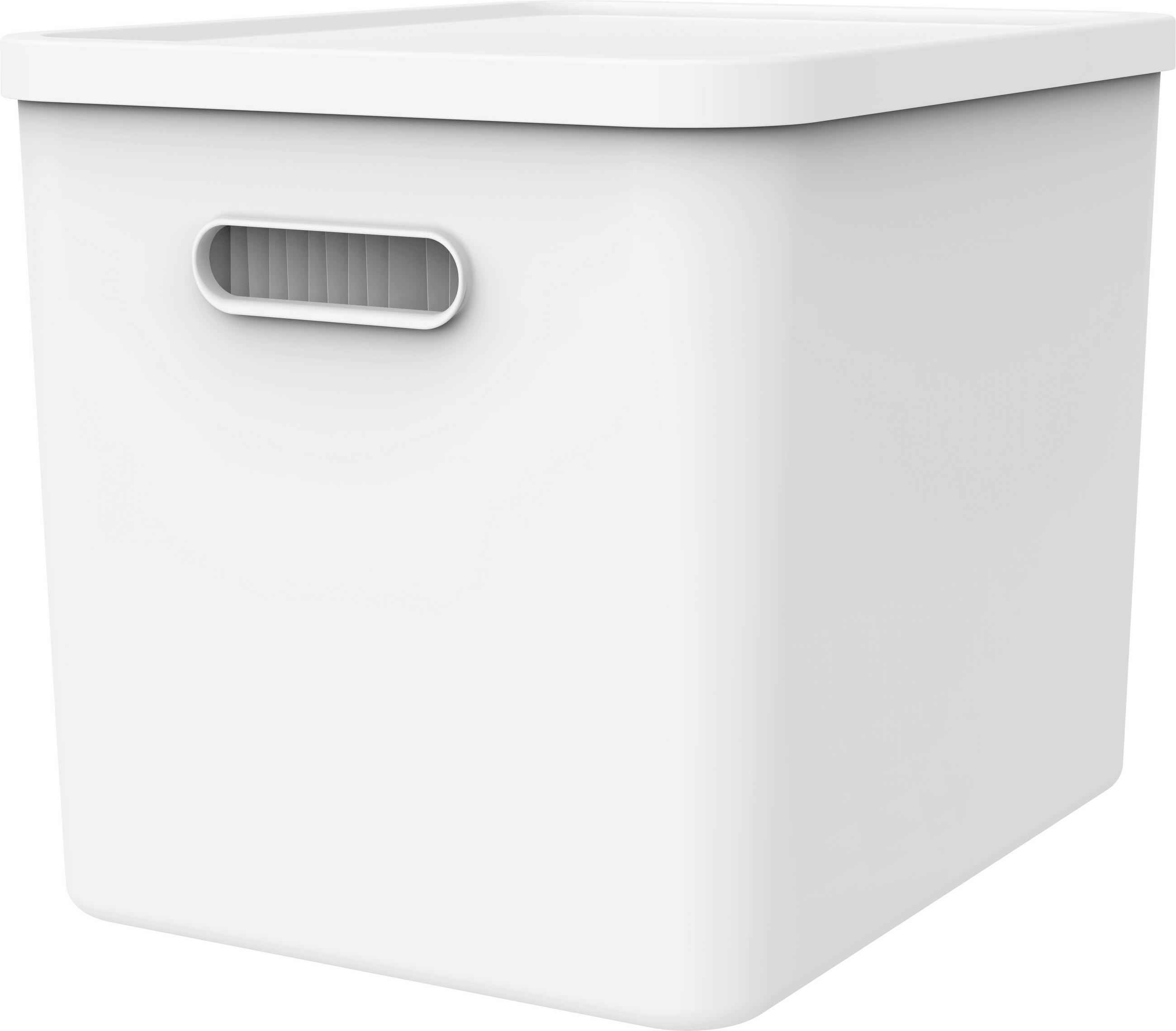 ORGANIZER  - Weiß, KONVENTIONELL, Kunststoff (29/29,5/37cm) - Rotho