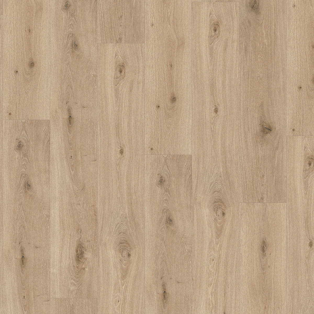 DESIGNBODEN Trendtime 8 1744827  per  m² - Eichefarben, Design, Kunststoff (152,2/22,5/0,06cm) - Parador