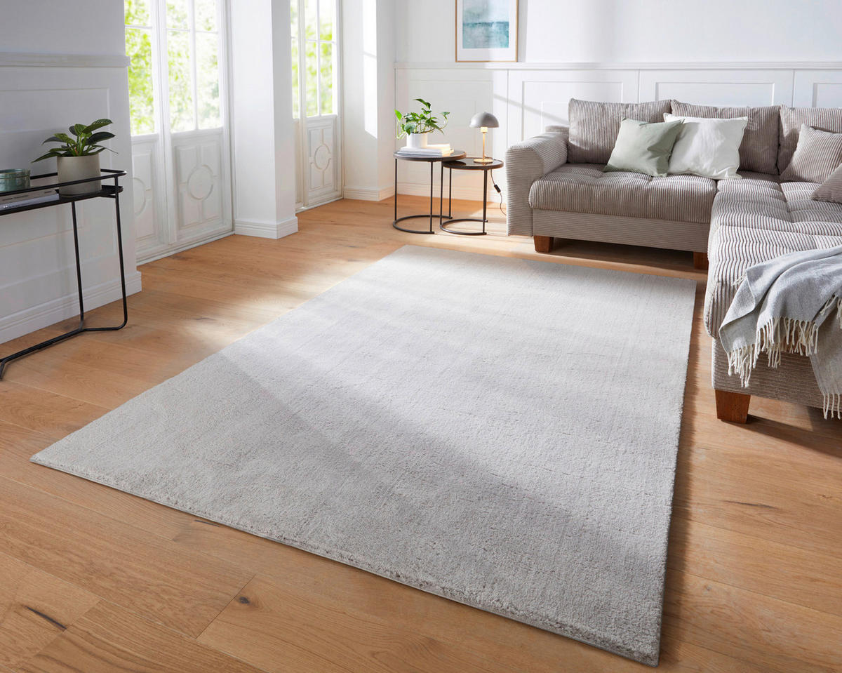WEBTEPPICH  Wohnzimmer 60/120 cm Fiona Hellgrau rechteckig  - Hellgrau, KONVENTIONELL, Textil (60/120cm) - Novel