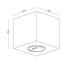 LED-DECKENLEUCHTE - Eichefarben, Natur, Holz (10/10/10cm) - Dieter Knoll LED-DECKENLEUCHTE - Eichefarben, Natur, Holz (10/10/10cm) - Dieter Knoll