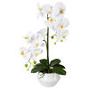 KUNSTPFLANZE Orchidee 52 cm  - Weiß/Grün, Design, Keramik/Kunststoff (52cm) - P & B