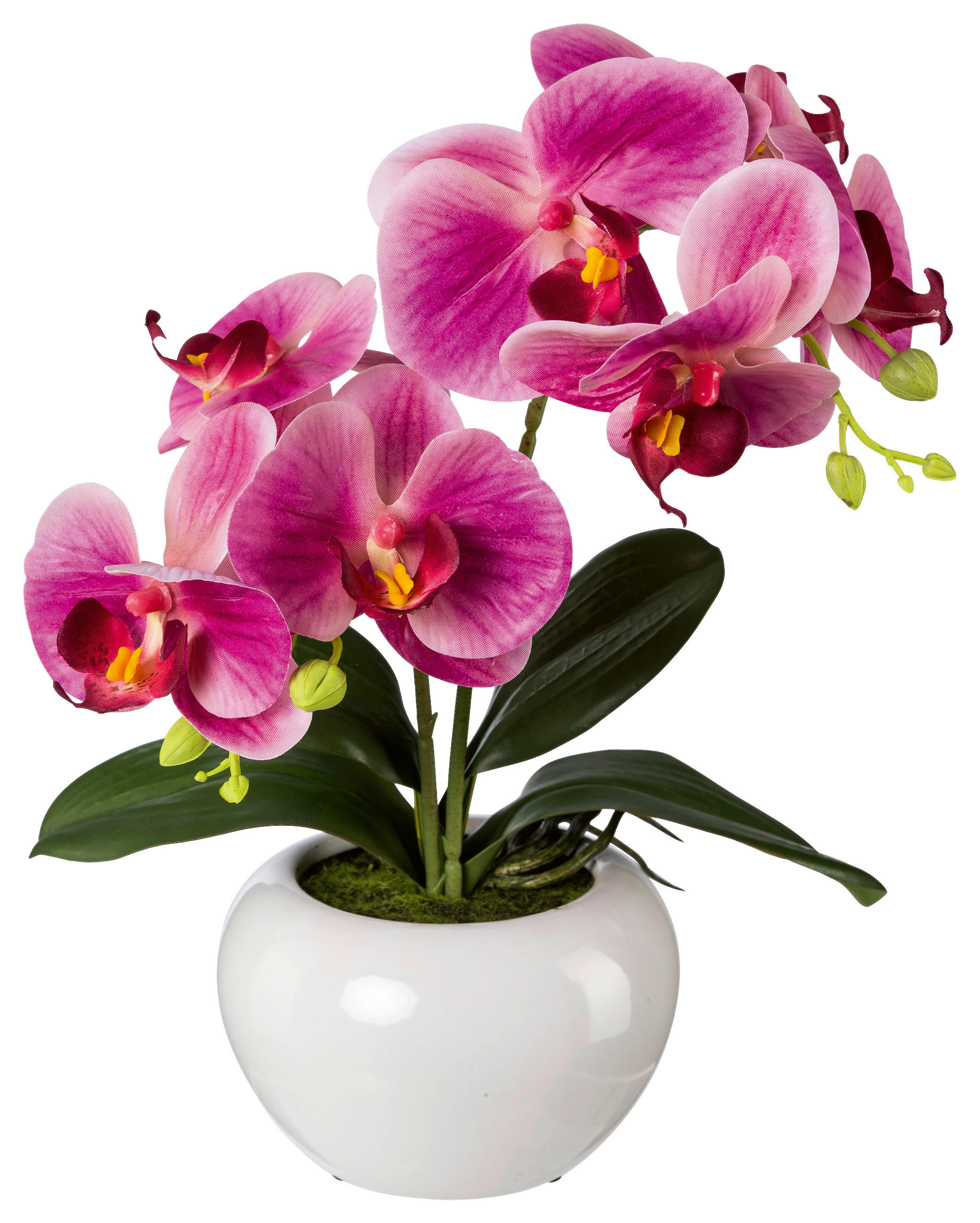 KUNSTPFLANZE Orchidee 35 cm  - Dunkelrosa/Rosa, Design, Keramik/Kunststoff (35cm) - P & B