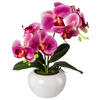 KUNSTPFLANZE Orchidee 35 cm  - Dunkelrosa/Rosa, Design, Keramik/Kunststoff (35cm) - P & B