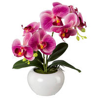 KUNSTPFLANZE Orchidee 35 cm  - Dunkelrosa/Rosa, Design, Keramik/Kunststoff (35cm) - P & B