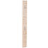 GARDEROBENPANEEL 16/180/2 cm - Eichefarben, Design, Holzwerkstoff (16/180/2cm) - Cassando GARDEROBENPANEEL 16/180/2 cm - Eichefarben, Design, Holzwerkstoff (16/180/2cm) - Cassando