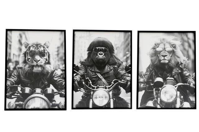 TABLOU PE PÂNZĂ  - Basics, plastic/textil (45/2,5/60cm)