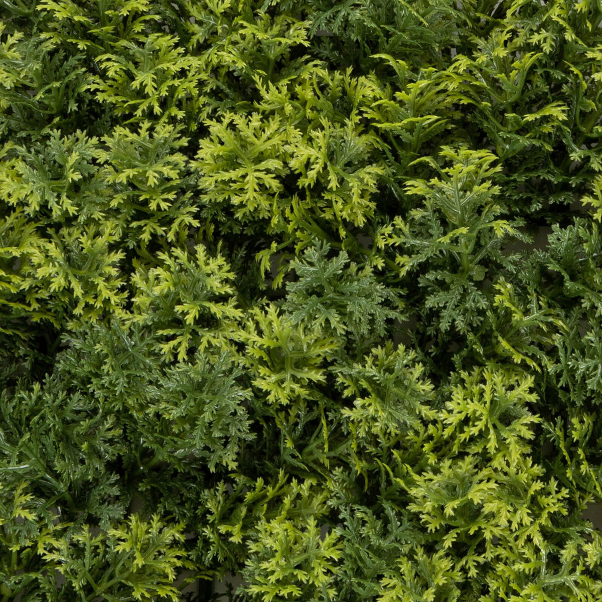 Wandverkleidung Pflanzenwand  - Waldgrün/Dunkelgrün, Trend, Kunststoff (50/50cm) - Floordirekt