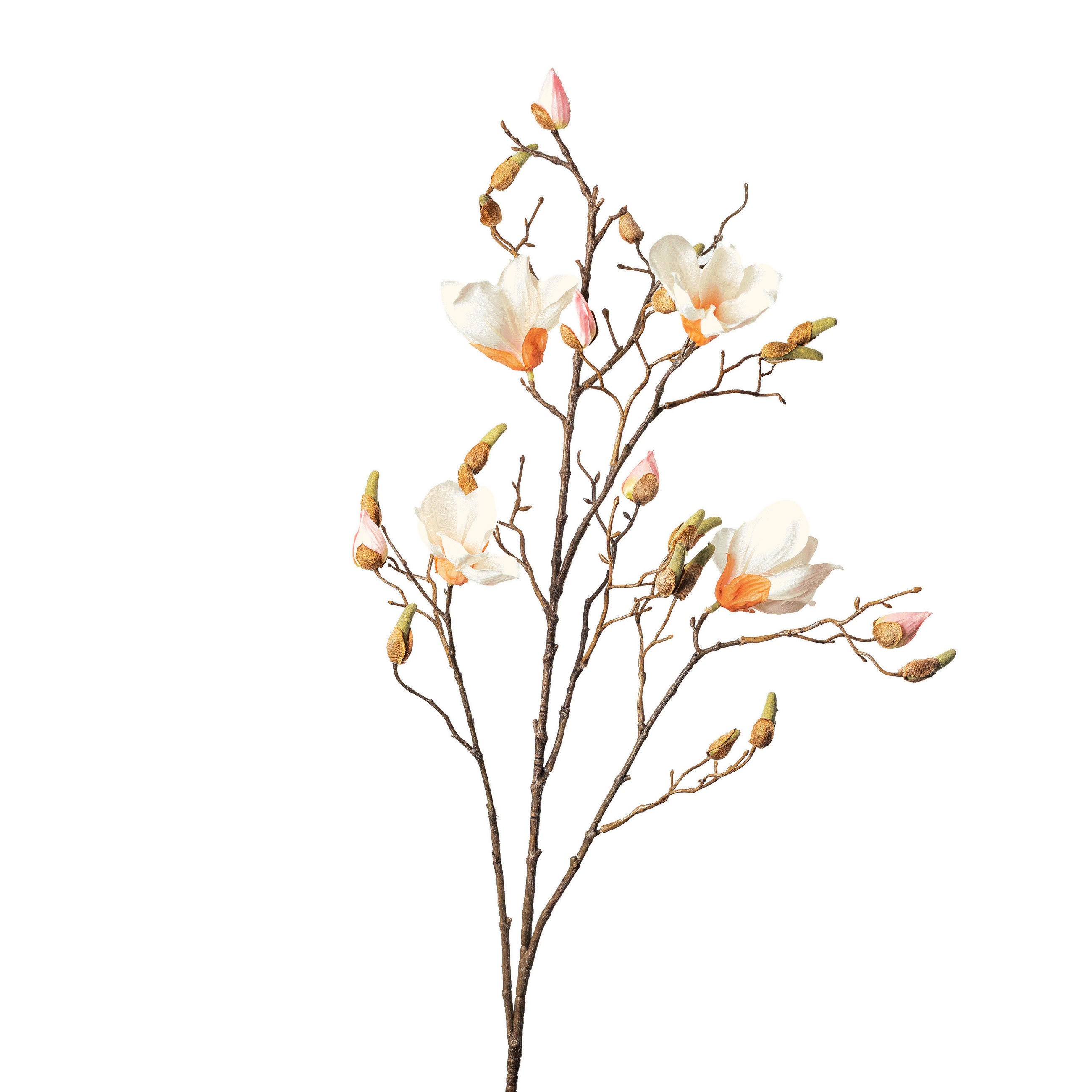 MAGNOLIE 110 cm - bílá/zelená, Basics, plast (110cm)