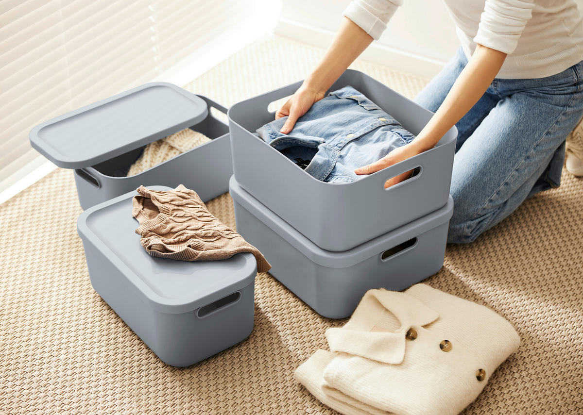 AUFBEWAHRUNGSBOX     - Pastellblau, Basics, Kunststoff (23.5/17.7/39.5cm) - Rotho