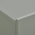 HÄNGESCHUHSCHRANK 120/100/34 cm  - Grün, Design, Holzwerkstoff (120/100/34cm) - Hom`in
