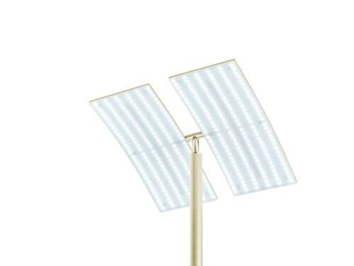 STOJACÍ LED SVÍTIDLO, 31/21/182 cm - šampaňská, Basics, kov (31/21/182cm) - Hell