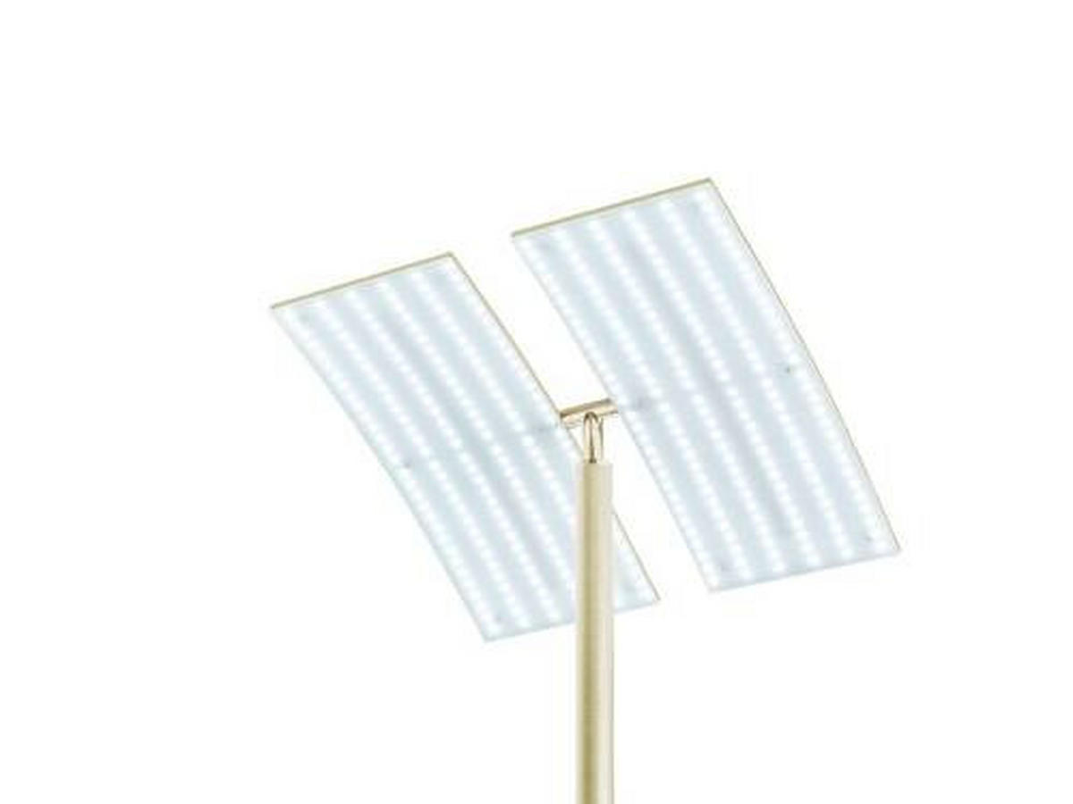 STOJACÍ LED SVÍTIDLO, 31/21/182 cm - šampaňská, Basics, kov (31/21/182cm) - Hell