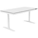 SCHREIBTISCH höhenverstellbar  - Weiß, Design, Holzwerkstoff/Kunststoff (160/80/73-118cm) - Novel
