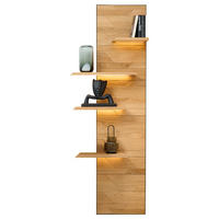 WANDPANEEL Schwarz, Wildeiche  45/199/42 cm  - Wildeiche/Schwarz, Natur, Holz/Metall (45/199/42cm) - Linea Natura