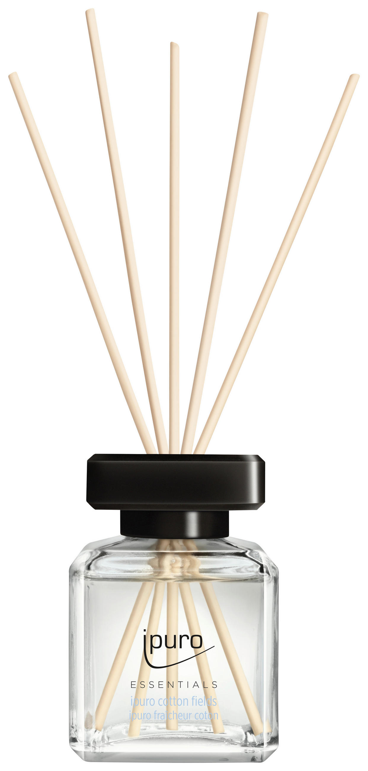 DIFFUSER 100 ml   - Basics, Glas (100ml) - Ipuro